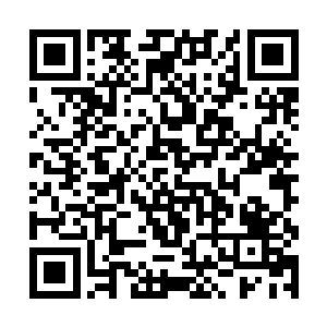 我希望大家明天以最好的状态来迎接我青年帮的崛起二维码生成