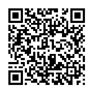 我希望我们能够联合起来一起来抵抗他们两大家族二维码生成