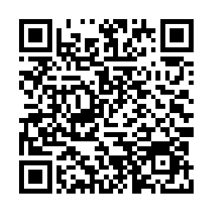 我希望整个外门弟子居都是无名心法的传到之地二维码生成