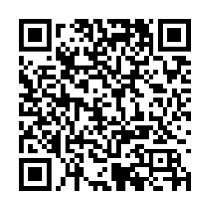 我希望新来的这名中单选手在与打野配合上要默契二维码生成