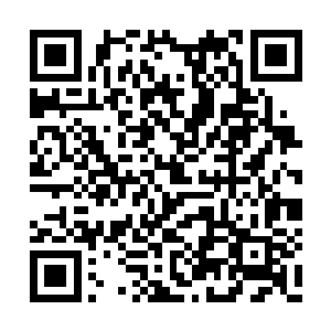 我希望用我的日记来把这场可怕的事情记录下来二维码生成