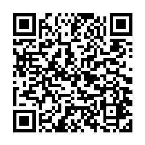 我带着暗影在许家前往上古遗迹的必经之地等着他们二维码生成