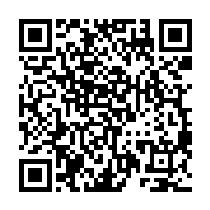 我并不以为关停这些化工厂对吴州或是对您有什么不利的二维码生成