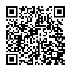 我并不是运气好……而是附着在我身上的好运气被二维码生成