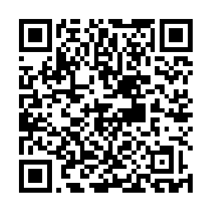 我并不鼓励我的客户放下一切去追寻他们最想要的东西二维码生成