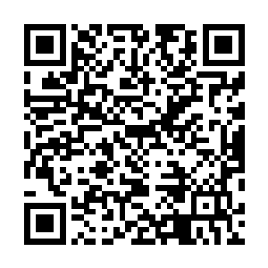 我并没有直接击杀守护人鬼市场的澹氏传人取而代之想法二维码生成