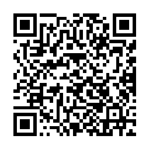 我并非想质疑候鸟议会的判罚――但是关于无尽之洋二维码生成