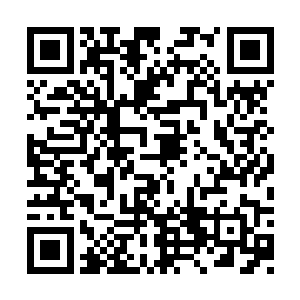 我应该不会出现错觉……是太过于思念小双了么二维码生成