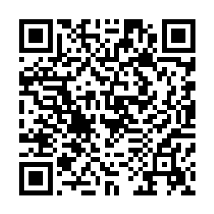 我建议我们将一些优秀的家族子弟和部分家族财产进行转移二维码生成