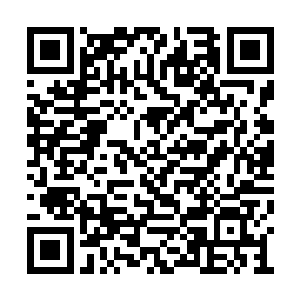 我建议要不然咱们就让庄老师和康少推迟一天比二维码生成