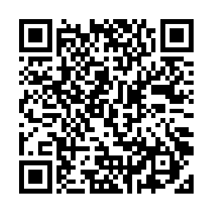 我开发出这款系统其实就是想赚笔钱为家乡修路来着二维码生成
