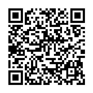 我开启心眼的本事可以说是全大陆的前五天才了二维码生成