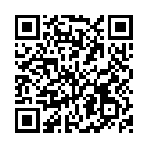 我开始公平公正地从每个人的综合能力评估二维码生成