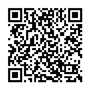 我开始明白那个殖民总督为什么会被黑奴杀死了二维码生成