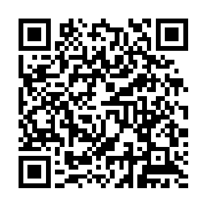 我引着符凝神于眼想找着到底是什么东西捏住了小白的嘴二维码生成