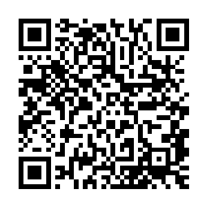 我张毅也没有自大到可以以一旅偏师对抗天下百万铁骑的地步呢二维码生成
