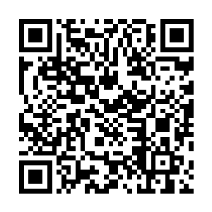 我当初看的时候也觉得不可能是二十岁的人写出来的小说二维码生成