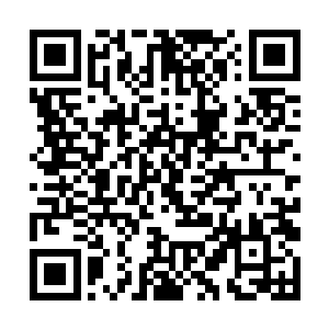 我当初逃出来就是因为绵老带着他回去争夺掌门之位二维码生成