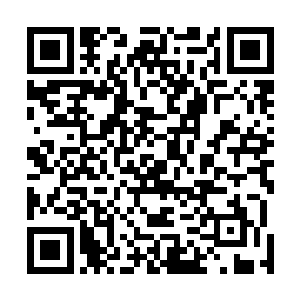 我当即沿着他的目光缓缓低头往下这一差点就失去了知觉二维码生成