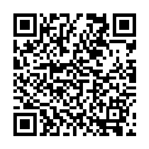 我当年渡问道天劫威势好像连之天劫的百分之一都没有二维码生成