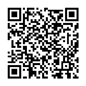 我当时就从那口棺材里面感受到过毁灭世界的气息二维码生成