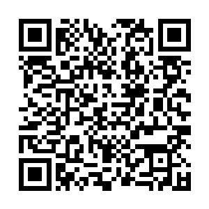 我当时并不知道盛掌门和徐掌门已经投靠了万妖王麾下二维码生成