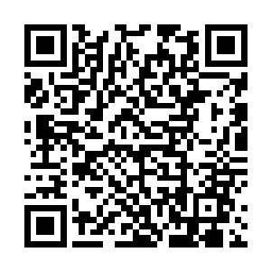 我当时想到的假设就是……说不定我爸妈在国外迷路了二维码生成