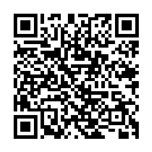我当时是想看看那些高二的混混是不是真的像张涛他们说的一样二维码生成