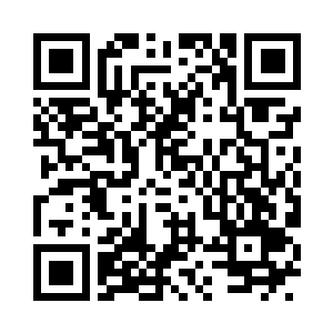 我当时说要一两家公司来试试看就行了二维码生成