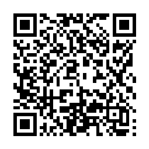 我当然不会天真到认为他是真的单纯地为了我斩杀天神二维码生成