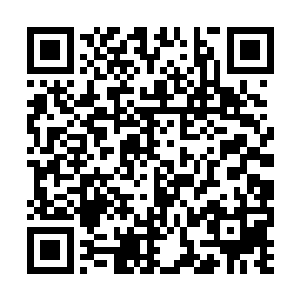 我当然不可能对一群来自邻国的旅客进行任何处置二维码生成