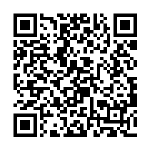 我当然不忍心剥夺任何一名人类同胞繁衍后代的权力二维码生成