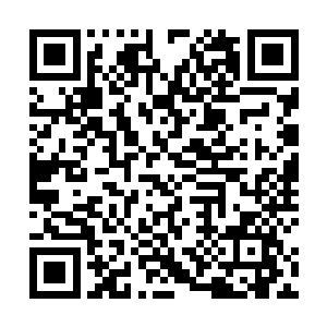 我当然不知道这个计划书会让某些神明也陷入头大状态二维码生成