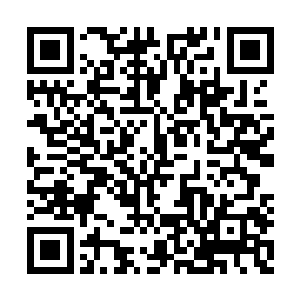 我往中央神塔那边前进才是调查问题核心的办法二维码生成