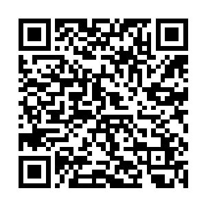 我征兆的从口袋之中的符咒之中将枣木剑给掏了出来二维码生成