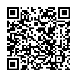 我很好奇你的神魂在这一万年里会发生什么样的异变二维码生成