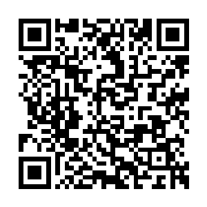 我很希望有实力的企业加入到柔性显示研发队列二维码生成