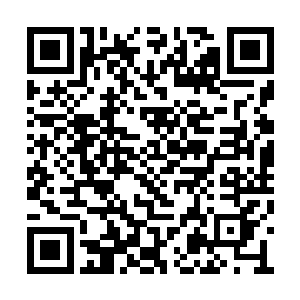 我很羡慕她……九妹如今就在母亲怀里撒娇打滚二维码生成