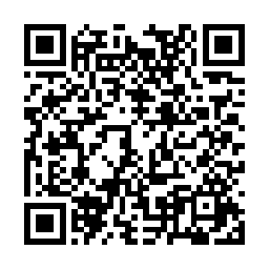 我很难想象巴黎人如何能够继续保持着充足的信心二维码生成