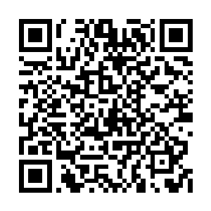 我得承认你们网络防御系统虽然有足够多的漏洞二维码生成