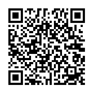 我得说我好喜欢她对切萨雷求婚的那一幕――真是棒呆了二维码生成