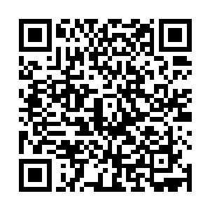 我得靠在意外事件中的本能反应来为我的社会行为买单二维码生成