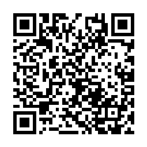 我心中不免在想这个阳煞僵尸究竟为什么这么厉害二维码生成