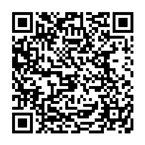 我心中其实从木道人一开始说出他还有个师父的时候就想要知道他的师父是谁二维码生成