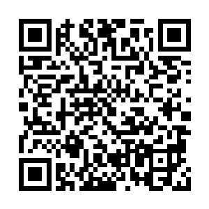 我心中越发觉得这个朵朵这方面的知识有些丰富二维码生成