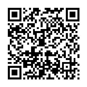 我必须感谢波德克愿意把这个故事告诉托马斯一肯尼利二维码生成