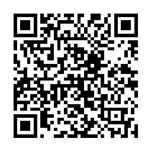 我必须肯定你是否能赋予同一类型的角色不一样的新意二维码生成