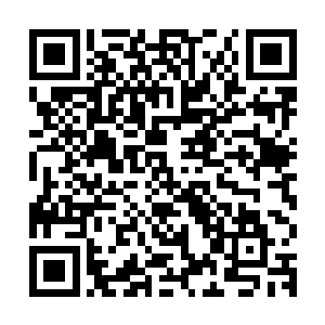 我忽然觉得我有些明白大荒部落为何不惜代价也要将你救出去了二维码生成