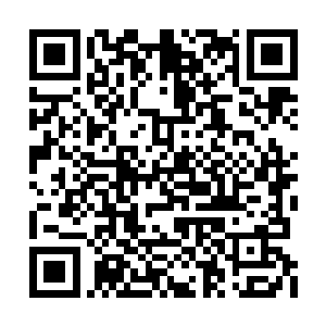 我怀中的白狐本体不再接腔只蜷了身体一动不动二维码生成