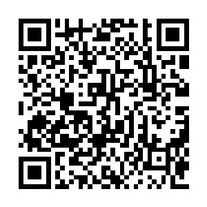 我怀疑这支星海彼岸的魔法文明所遭遇的大灾变二维码生成